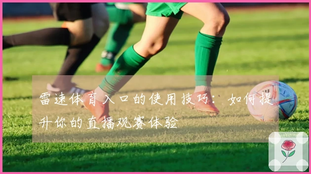 雷速体育入口的使用技巧：如何提升你的直播观赛体验